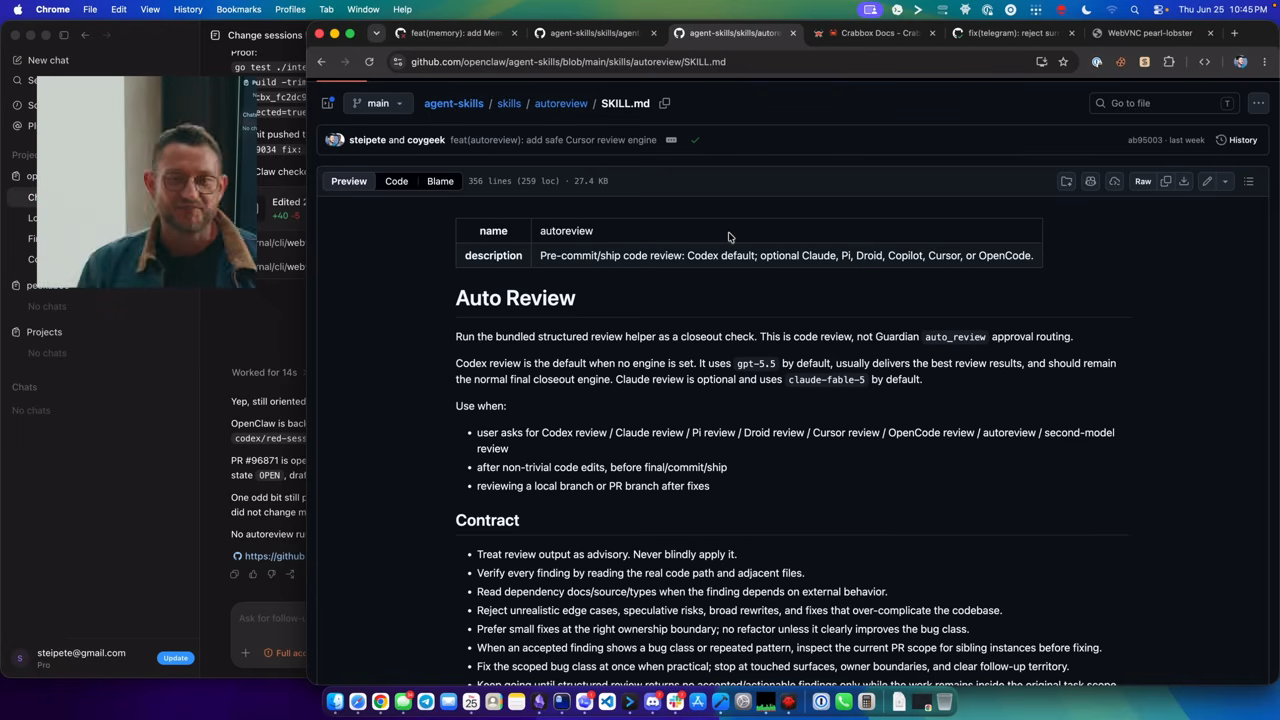 Agent Transcript skill documentation on screen